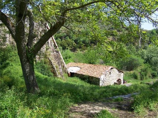 Ανεξαρτητο Studio Στο Ομορφο Καστορειο Kastorion Eksteriør billede